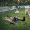 65 Inch Halloween Decorations Skeleton, Halloween Prop for Halloween Outdoor, Lawn, Yard, Patio Decoration, Graveyard Haunted House Decorations